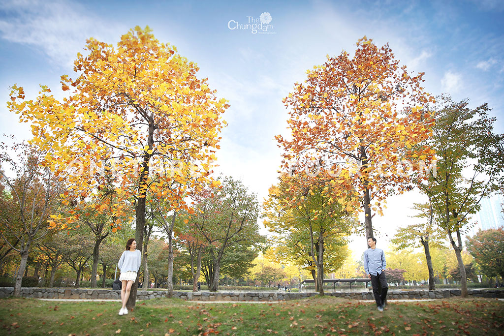 [AUTUMN] Seoul Forest Autumn Outdoor Shoot by Chungdam Studio on OneThreeOneFour 2