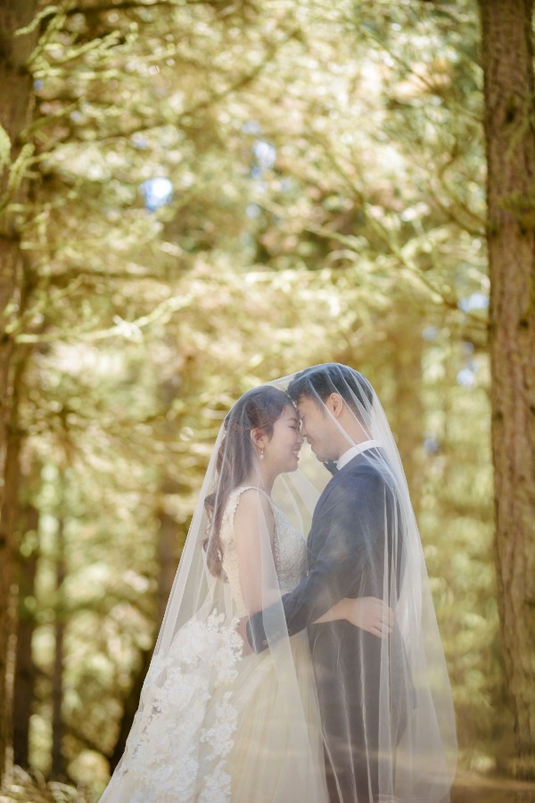 SH&J: Romantic fairytale pre-wedding in New Zealand with horse and at Lake Pukaki and Lake Tekapo by Fei on OneThreeOneFour 12