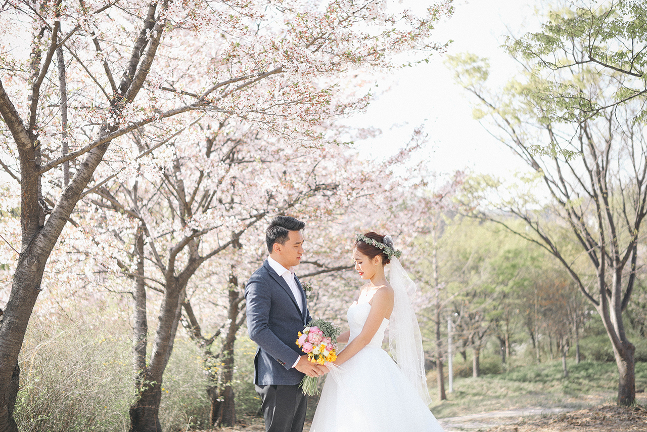 Korea Cherry Blossom Pre-Wedding Photoshoot At Seoul Forest And Kyunghee University  by Beomsoo on OneThreeOneFour 17