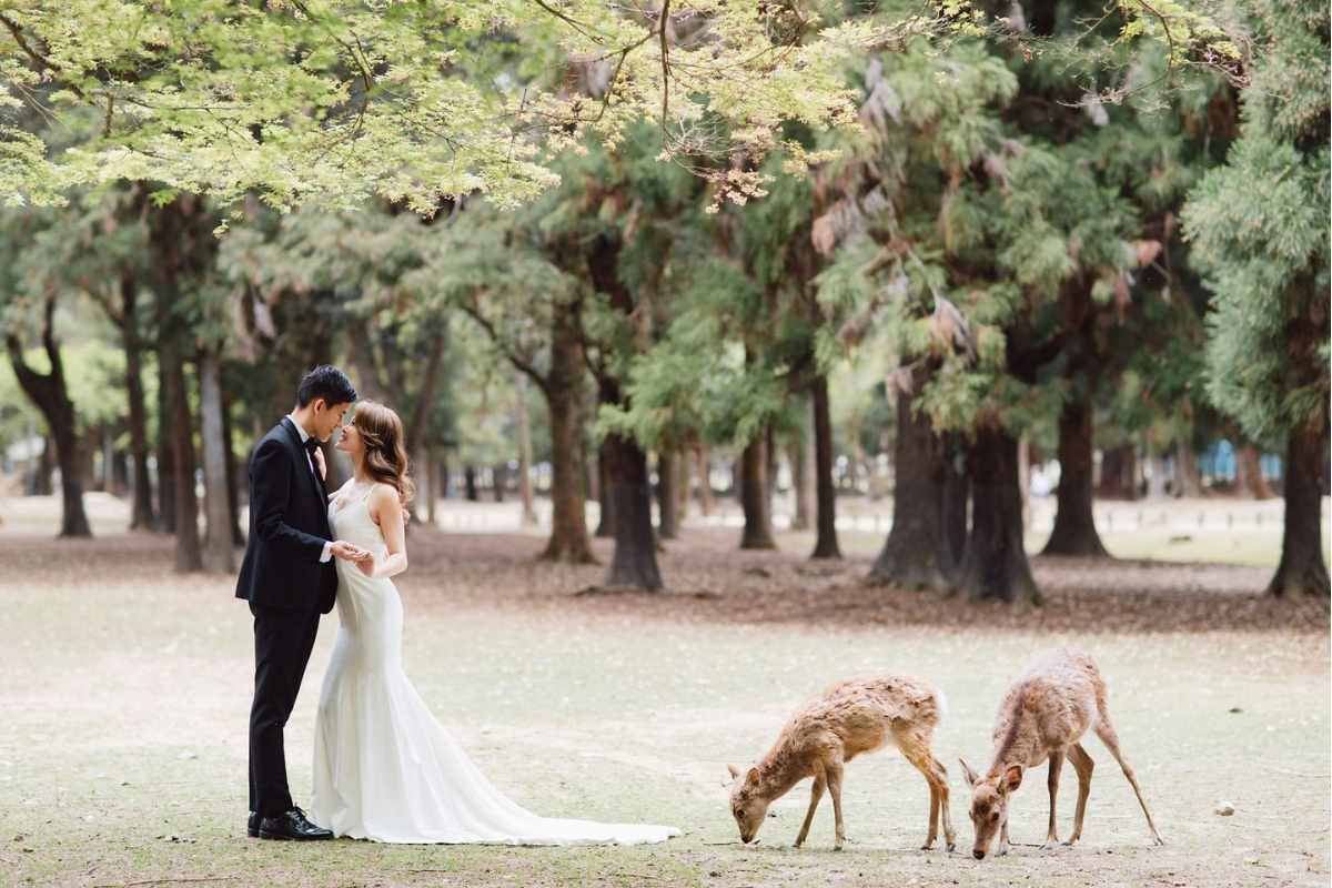 Kyoto Pre-Wedding Photoshoot with Eikando Temple, Mt Wakakusa, and Nara Deer Park by Kinosaki on OneThreeOneFour 21