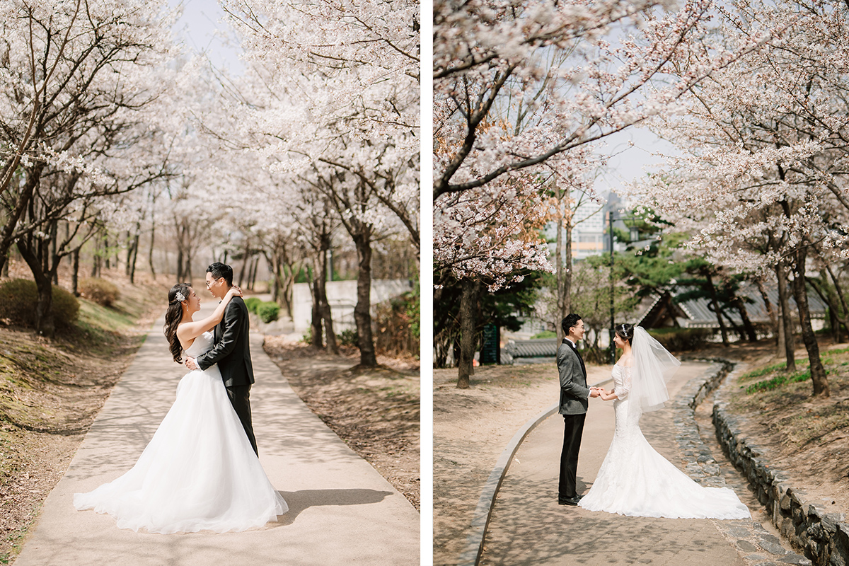 City in Bloom: Romantic Pre-Wedding Photoshoot Amidst Seoul's Blossoming Beauty by Jungyeol on OneThreeOneFour 18