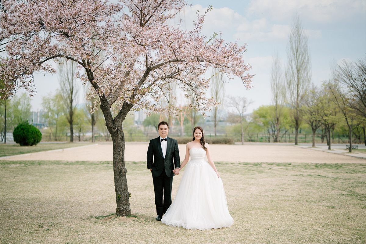 Cherry Kiss: Capturing Love Amidst Seoul's Cherry Blossoms by Jungyeol on OneThreeOneFour 2