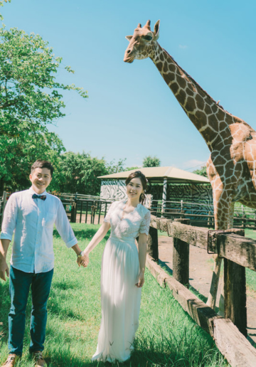 Taiwan Pre-Wedding Photoshoot Zoo Lush Greenery Beach