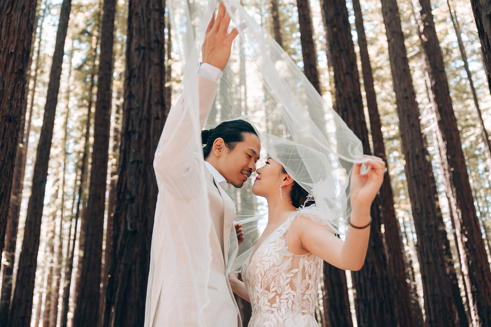 Melbourne Pre-Wedding Photoshoot in Redwood Forest by Freddy on OneThreeOneFour 5