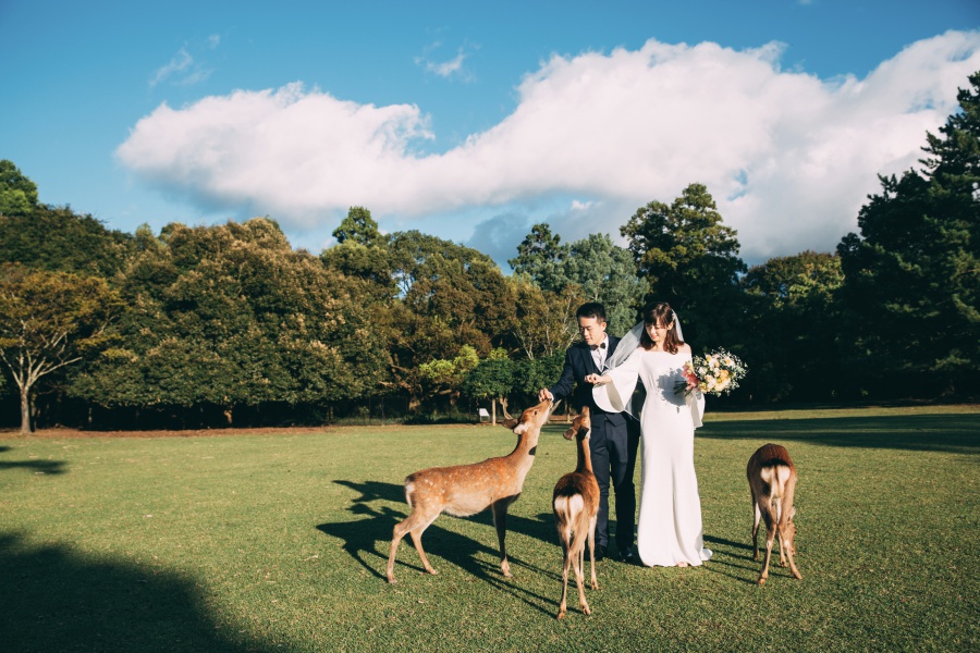 Japan Pre-Wedding Photoshoot At Nara Deer Park  by Jia Xin on OneThreeOneFour 10