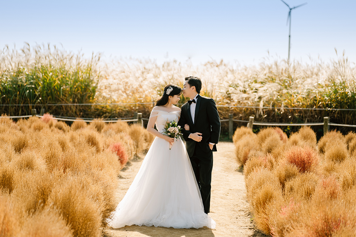 韓國首爾秋季芒草婚紗拍攝 天空公園和仙遊島公園 by Jungyeol on OneThreeOneFour 3