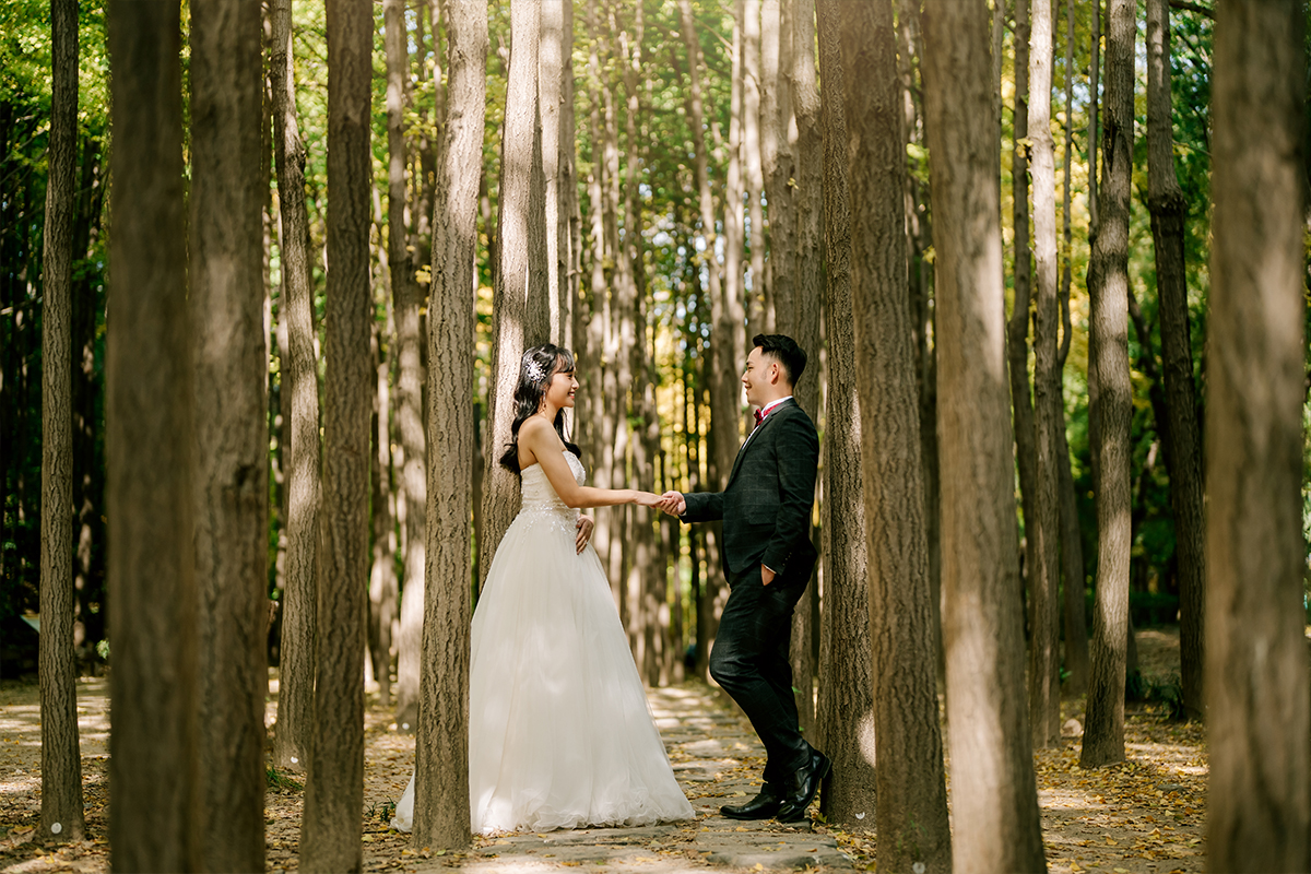 Yellow Gingko Autumn Pre-Wedding in Korea - Seoul Forest, Namsamgol Hanok Village & Samcheong-dong Cafe Street by Jungyeol on OneThreeOneFour 7