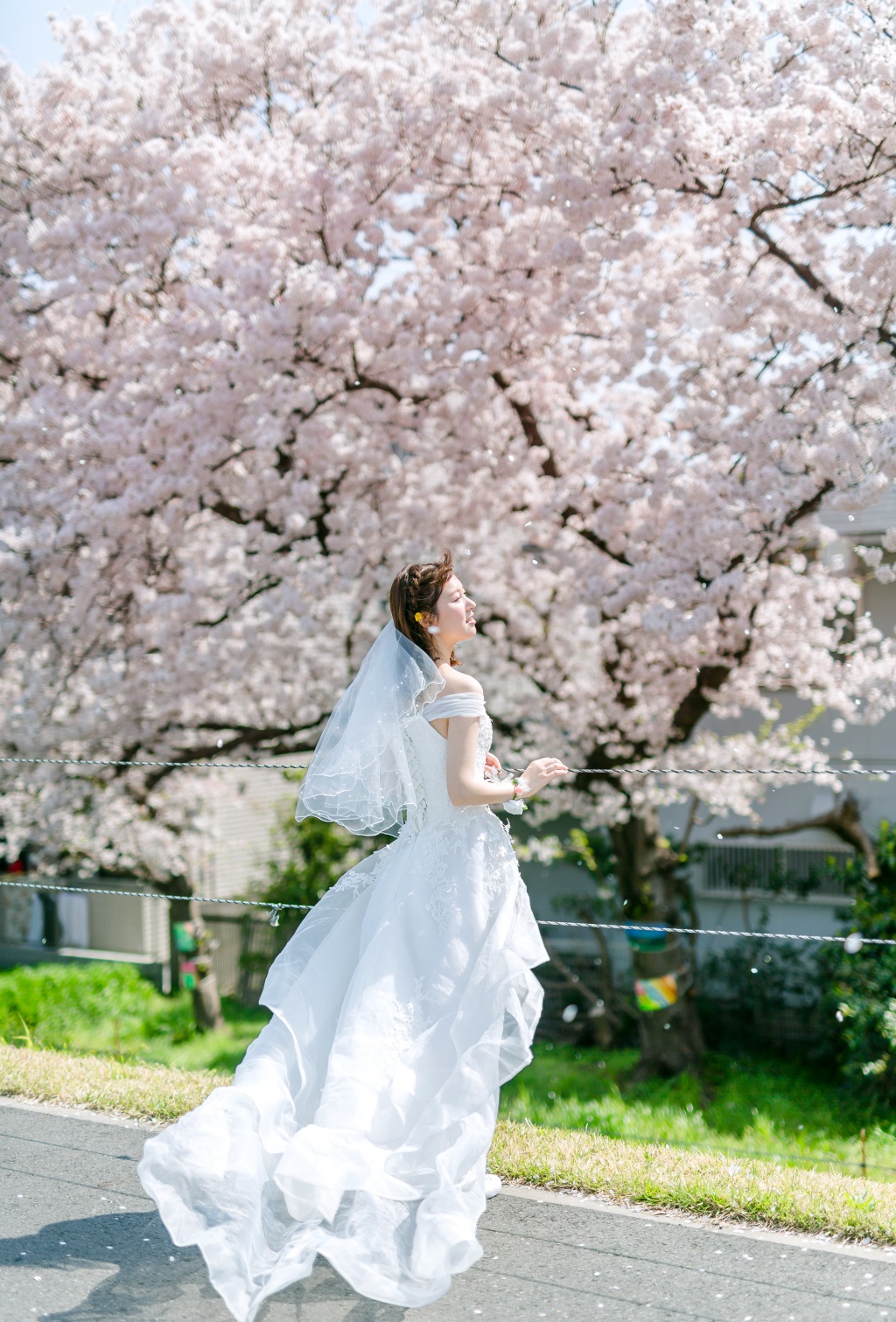 Japan Tokyo Pre-Wedding Photoshoot At The Park With Cherry Blossoms  by Jin on OneThreeOneFour 8