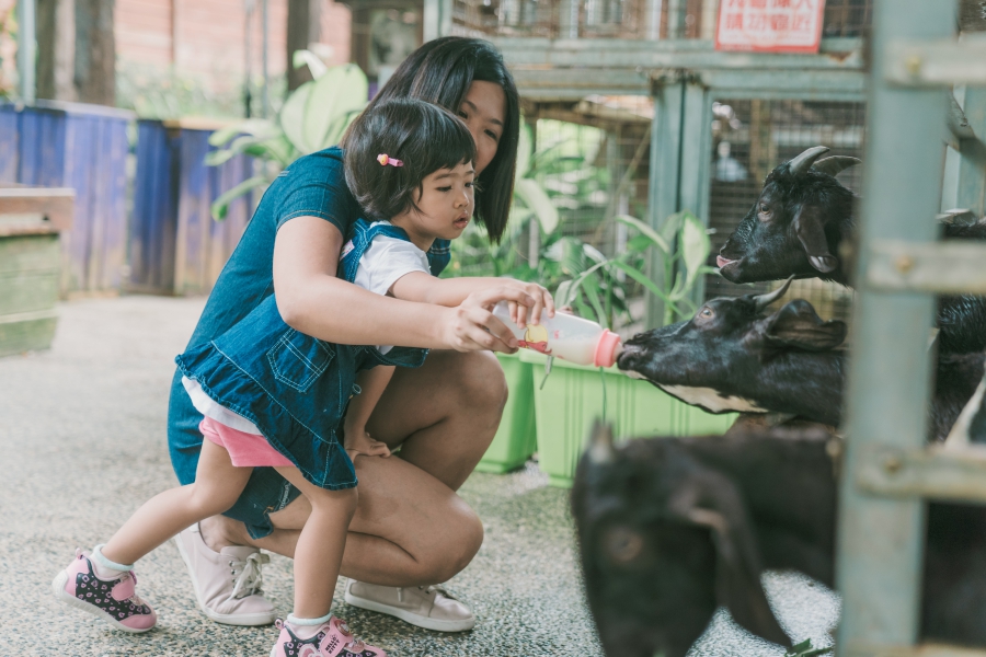 Taiwan Casual Family Photoshoot At An Animal Farm in Kaohsiung City by Star on OneThreeOneFour 10