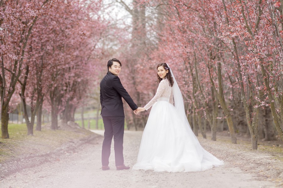 W&J: Pre-wedding in Spring with cherry blossom and snow by Fei on OneThreeOneFour 0