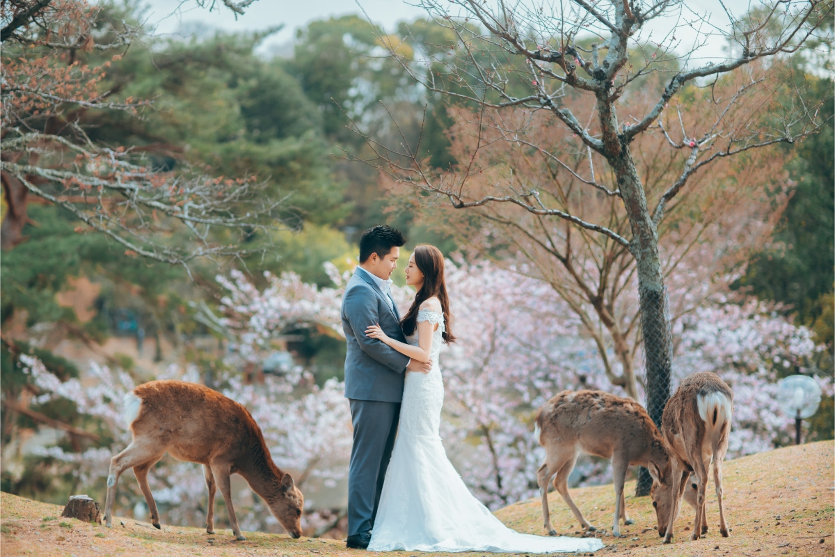 Kyoto and Nara Sakura Pre-wedding and Kimono Photoshoot  by Kinosaki on OneThreeOneFour 14
