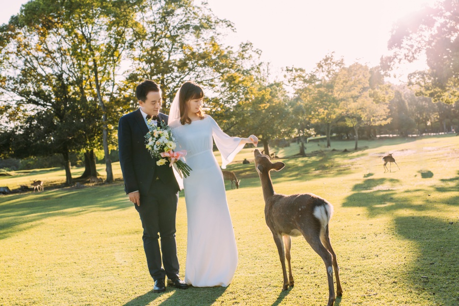 Japan Pre-Wedding Photoshoot At Nara Deer Park  by Jia Xin on OneThreeOneFour 11
