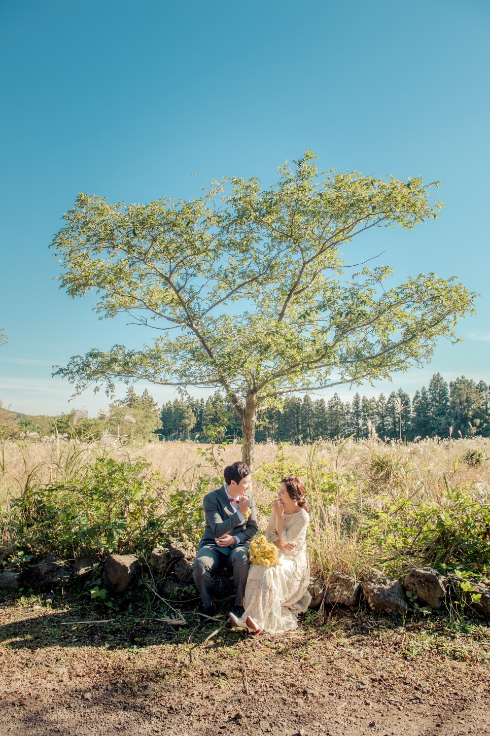 Korea Outdoor Pre-Wedding Photoshoot At Jeju Island with Silvergrass by Geunjoo on OneThreeOneFour 10