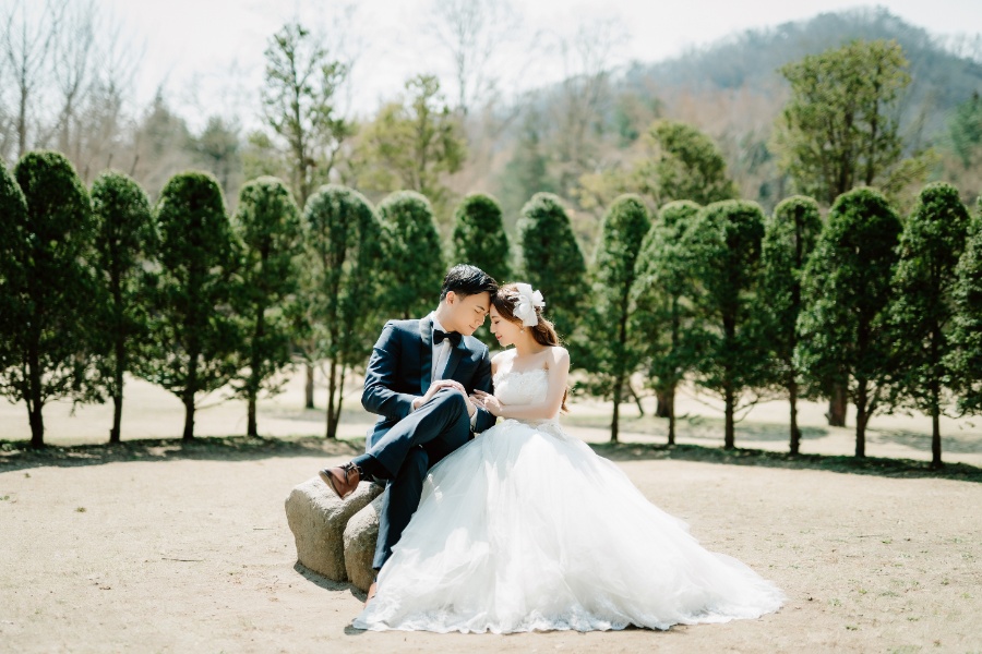 C&J: Korea Spring Pre-wedding Photoshoot with Hanbok at Namsangol Hanok Village and Nami Island by Jungyeol on OneThreeOneFour 30