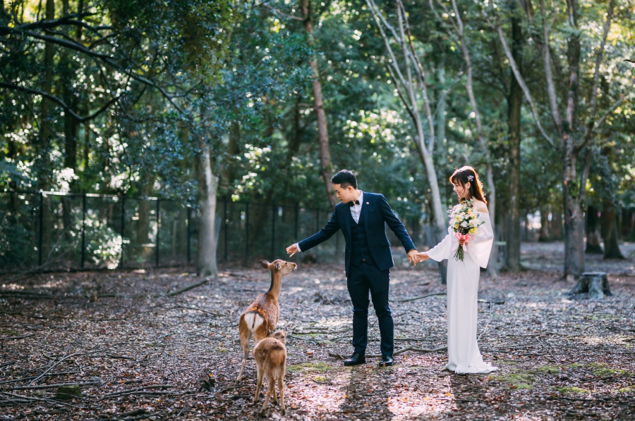 Japan Pre-Wedding Photoshoot At Nara Deer Park  by Jia Xin on OneThreeOneFour 4