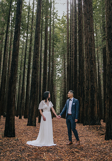 Melbourne Pre-Wedding Photoshoot in Royal Botanical Gardens & Redwood Forest