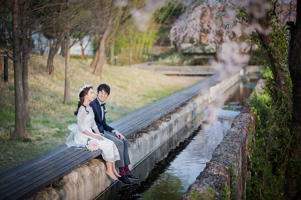 Korea Cherry Blossom Pre-Wedding Photoshoot At Seonyundo Park by Junghoon on OneThreeOneFour 3