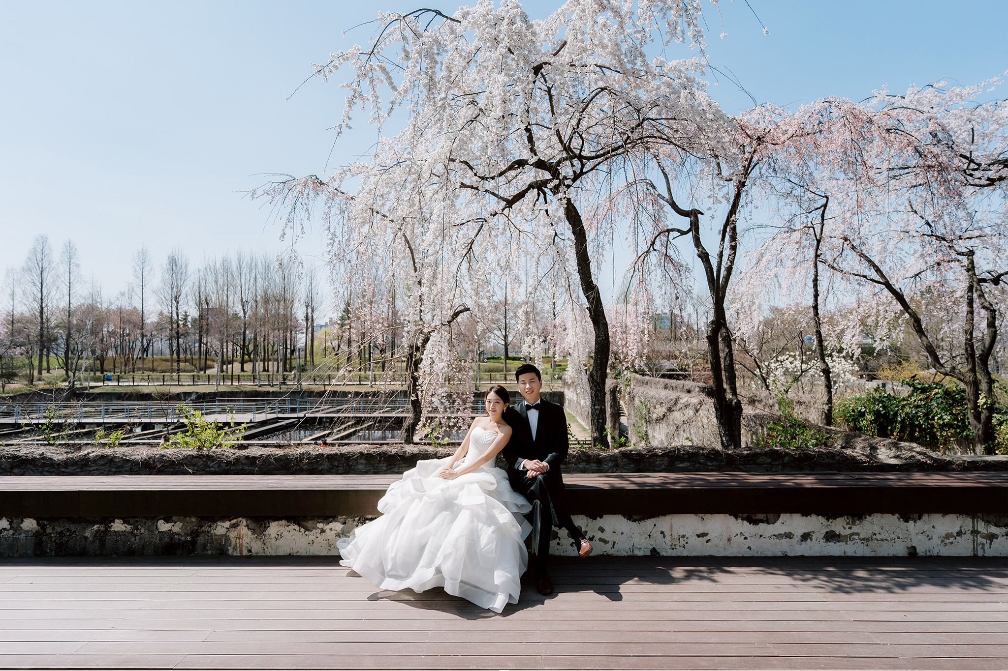 韓國首爾櫻花季婚紗拍攝 仙遊島公園和南山谷韓屋村 by Jungyeol on OneThreeOneFour 4