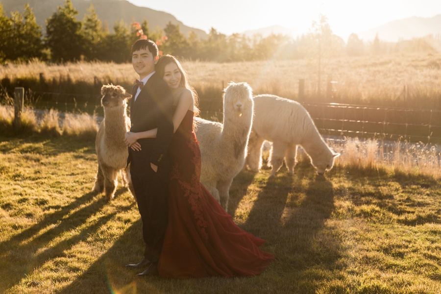 A&D: New Zealand Pre-wedding Photoshoot in Autumn by Felix on OneThreeOneFour 29