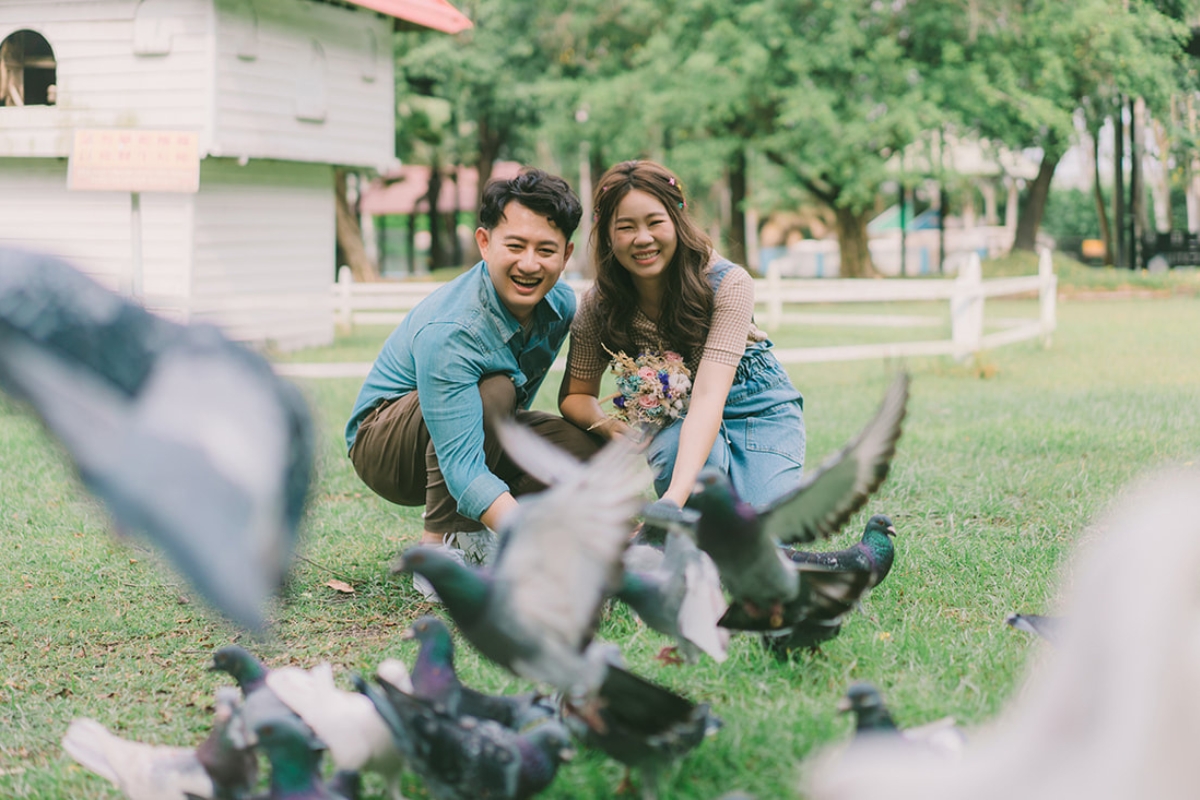 Taiwan Pre-Wedding Photoshoot Pier Blue Skies Animal Farm Flamingos Capybaras Llamas Autumn Leaves by  on OneThreeOneFour 16