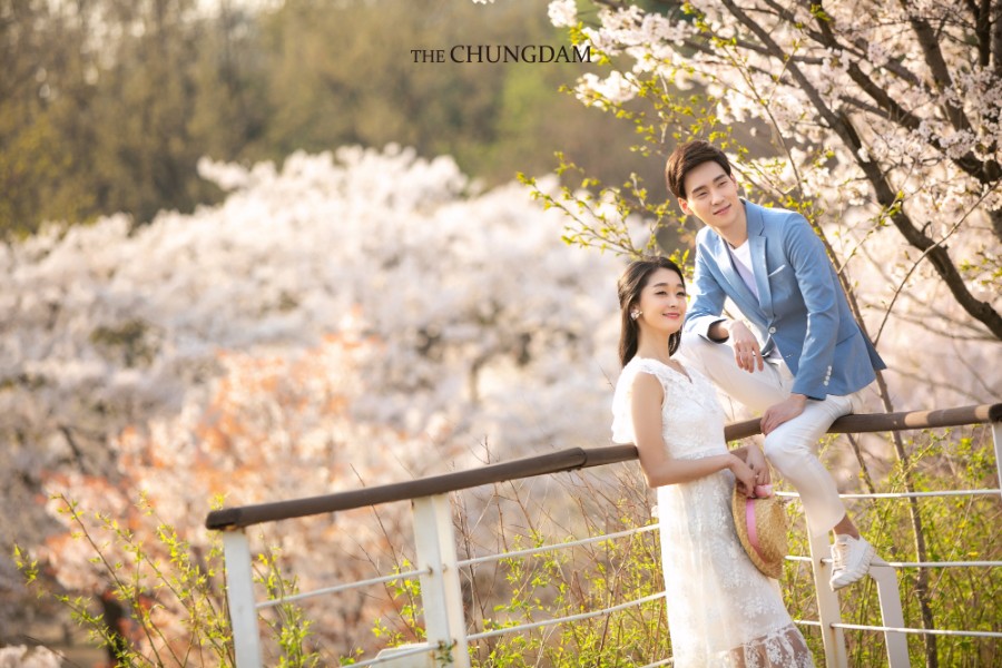 Chungdam Studio Cherry Blossoms Sample - Korean Pre-Wedding Studio by Chungdam Studio on OneThreeOneFour 14