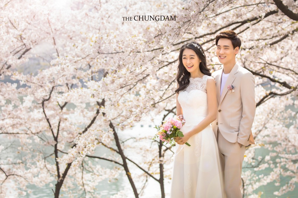 Chungdam Studio Cherry Blossoms Sample - Korean Pre-Wedding Studio by Chungdam Studio on OneThreeOneFour 17