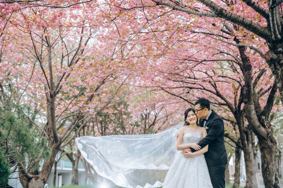 Hokkaido Pre-Wedding Photoshoot at Hokkaido Government Building & Temiya Park by Kuma on OneThreeOneFour 8