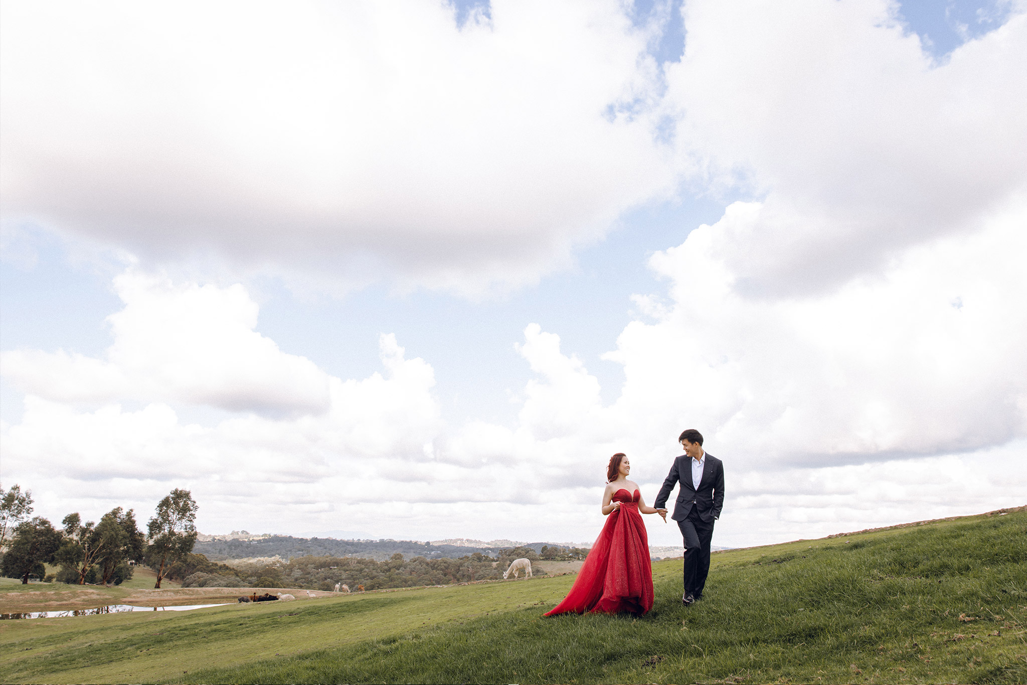Melbourne Pre-Wedding Photoshoot at Alpaca Farm, Carlton Gardens & Brighton Beach by Freddie on OneThreeOneFour 0