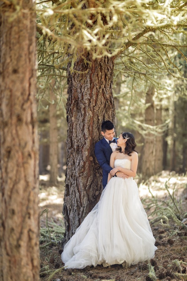 J&K: Fairytale New Zealand Pre-wedding by Felix on OneThreeOneFour 1
