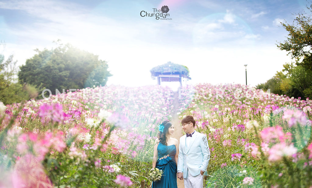Outdoor Photoshoot with Extra Charges by Chungdam Studio on OneThreeOneFour 20