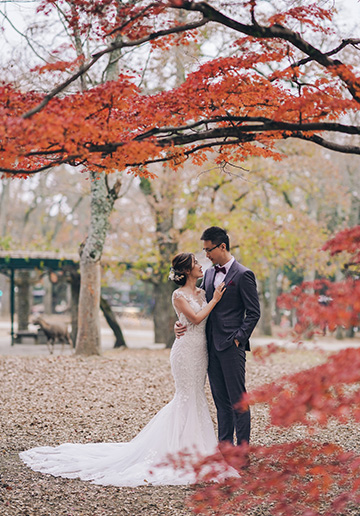 A&R: Kyoto Autumn Pre-wedding Photoshoot