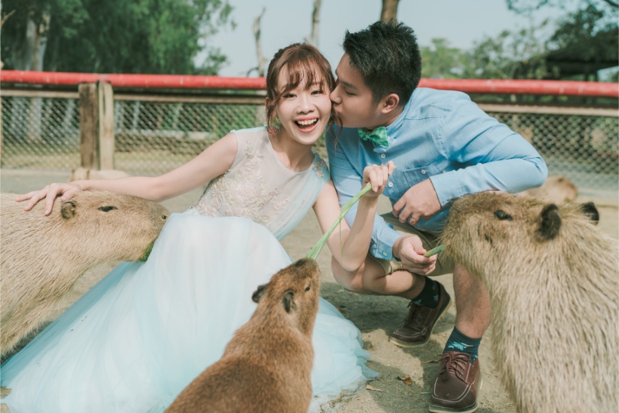 Taiwan Cheng Xi Beach and Tainan Zoo Prewedding Photoshoot by Star on OneThreeOneFour 4