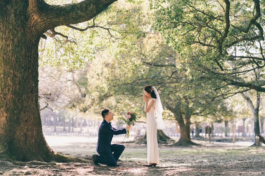 Japan Pre-Wedding Photoshoot At Nara Deer Park  by Jia Xin  on OneThreeOneFour 11