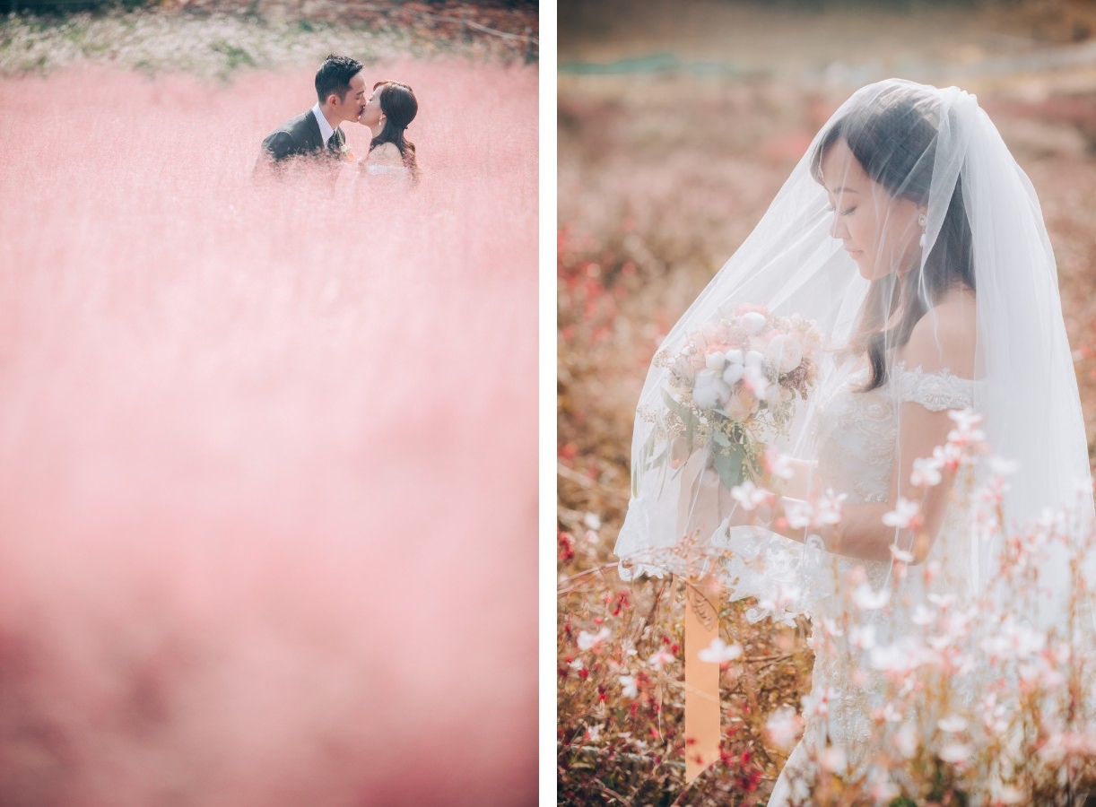C&S: Korea Autumn Pre-Wedding at Hanuel Park with Pink Muhly Grass by Jongjin on OneThreeOneFour 9