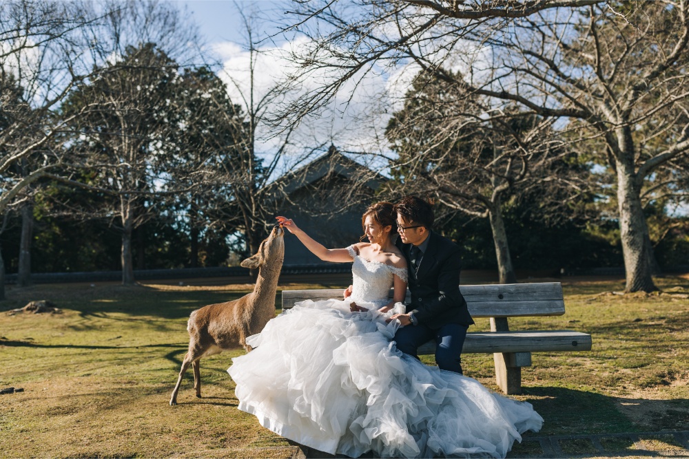 Kyoto Nara Deer Park Prewedding Photoshoot in Japan by Shu Hao on OneThreeOneFour 4