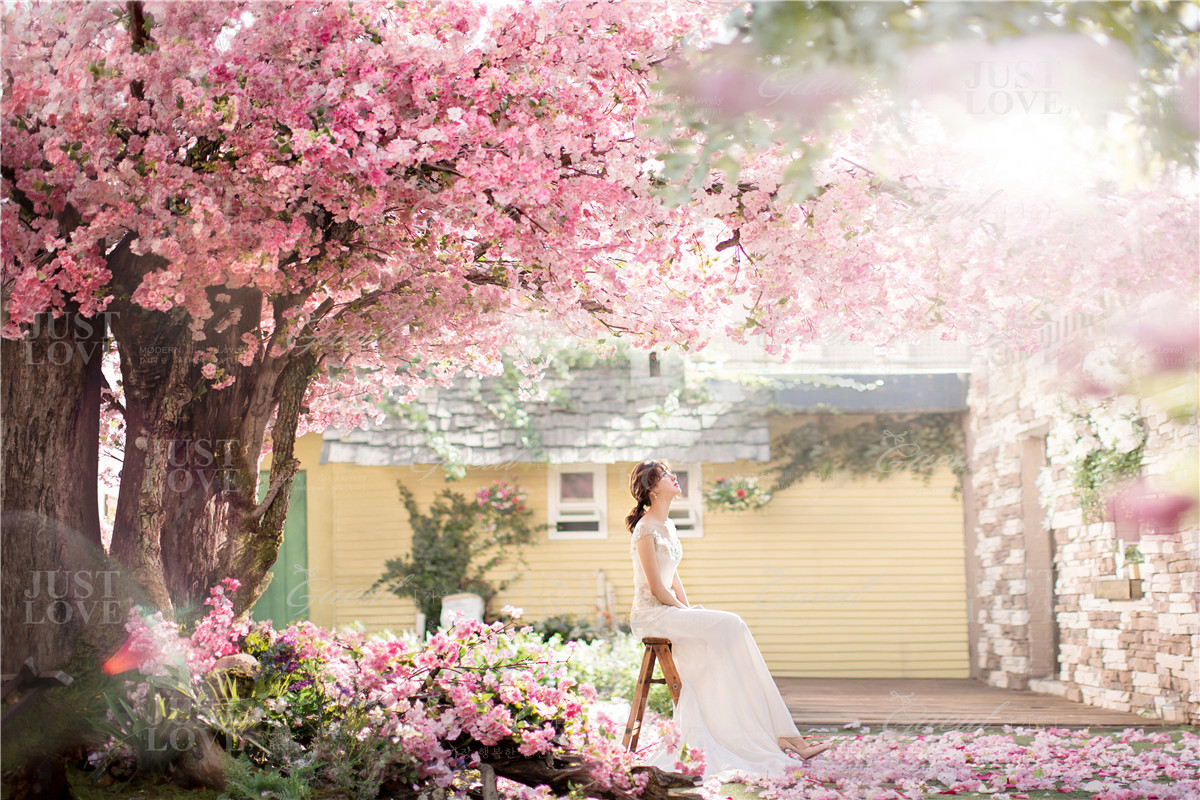 Korean Studio Pre-Wedding Photography: Floral by Gaeul Studio on OneThreeOneFour 3