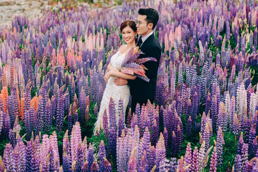 J&J: Pre-wedding at Christchurch Botanic Gardens, snowy mountain and purple lupins by Xing on OneThreeOneFour 12