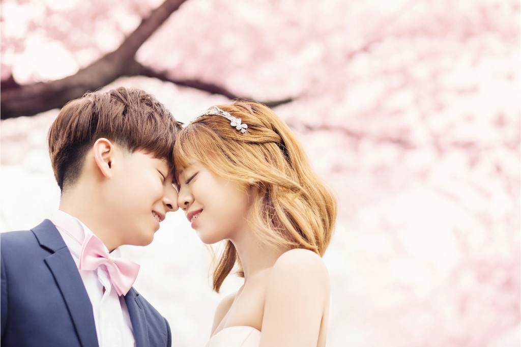 [Client Sample] Cherry Blossoms + Indoor Studio by Gaeul Studio on OneThreeOneFour 3