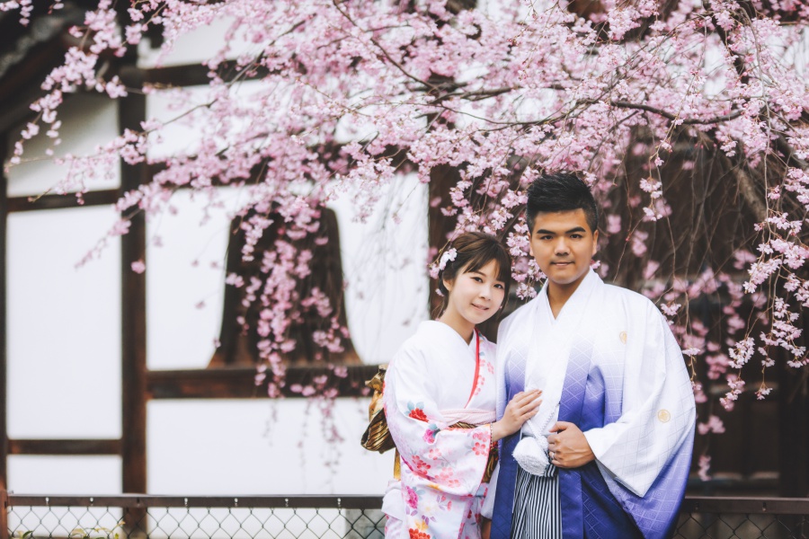 Japan Kyoto Kimono Photoshoot At Gion District During Cherry Blossom Season  by Shu Hao  on OneThreeOneFour 14
