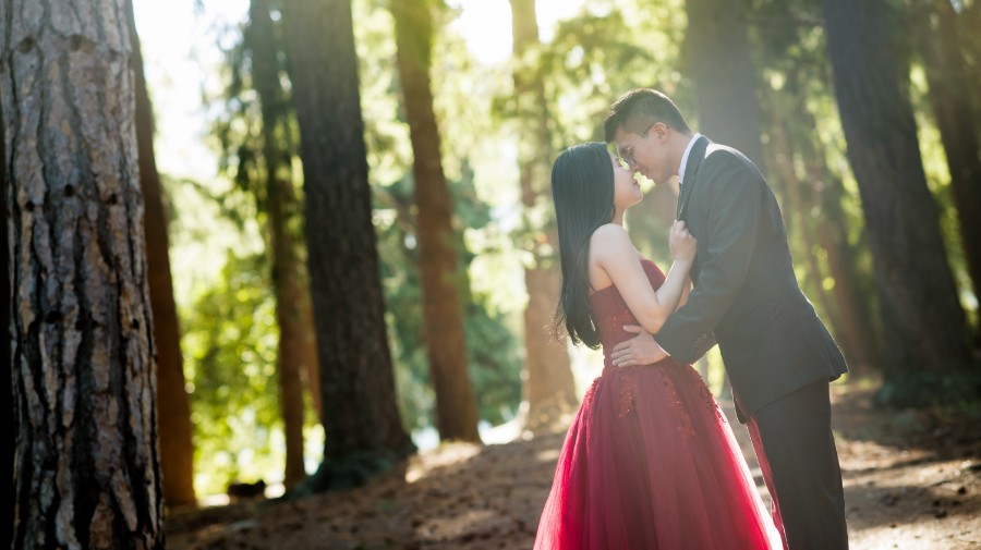 New Zealand Starry Night Prewedding Photoshoot with Alpaca Farm  by Mike on OneThreeOneFour 44