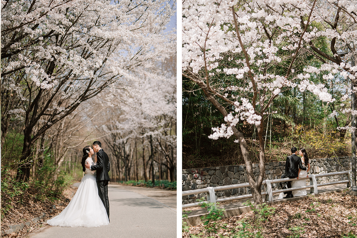 City in Bloom: Romantic Pre-Wedding Photoshoot Amidst Seoul's Blossoming Beauty by Jungyeol on OneThreeOneFour 14