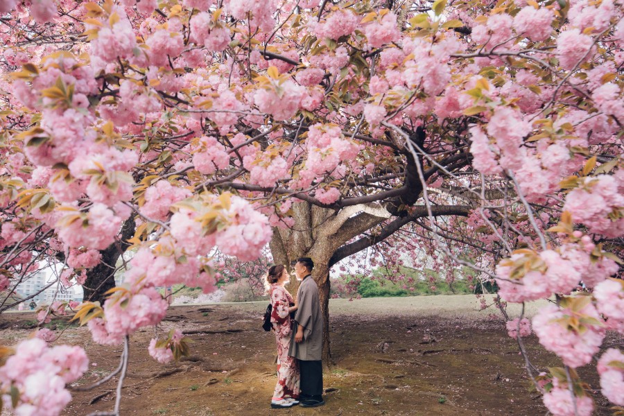 J: Massive cherry blossoms in Tokyo during Malay couple’s pre-wedding by Lenham on OneThreeOneFour 3