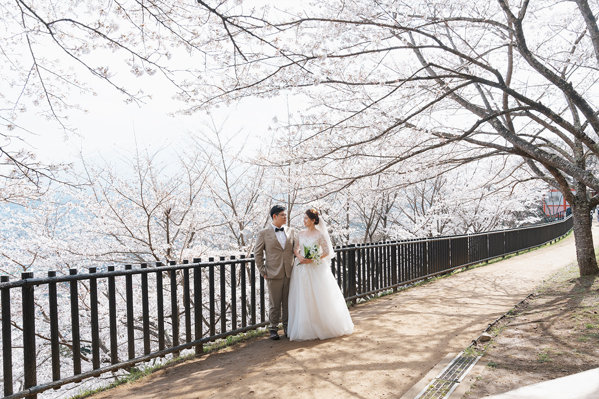 Sakura Prewedding Photoshoot Amidst Mt. Fuji and Tokyo's Full Bloom by Dahe on OneThreeOneFour 14