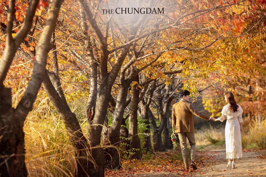 2018 Seasonal Album by Chungdam Studio on OneThreeOneFour 25