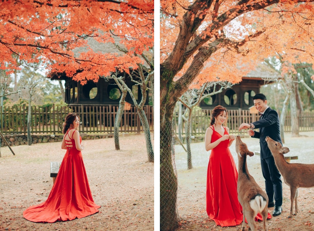 V&H: Kyoto Autumn Pre-wedding Photoshoot at Nara Park and Railway Tracks by Kinosaki on OneThreeOneFour 2