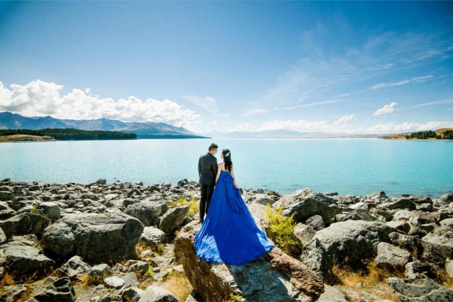 New Zealand Starry Night Prewedding Photoshoot with Alpaca Farm  by Mike on OneThreeOneFour 1