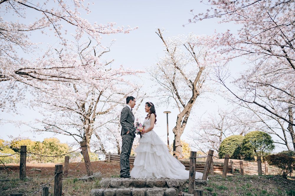 Tokyo Sakura and Mt Fuji Pre-Wedding Photography  by Dahe on OneThreeOneFour 3
