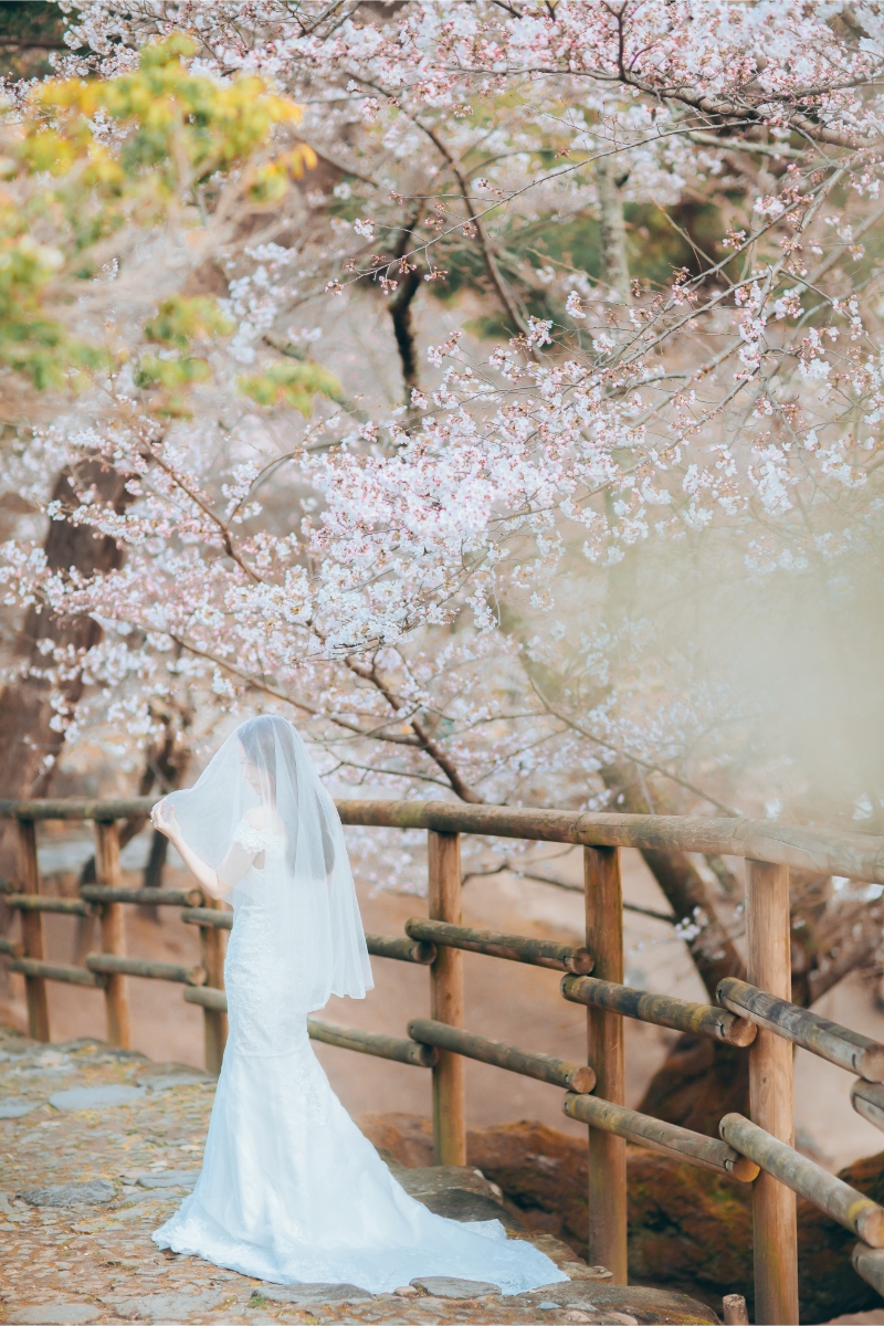 穿著日本傳統和服在日本京都櫻花季的婚紗拍攝 by Kinosaki on OneThreeOneFour 18