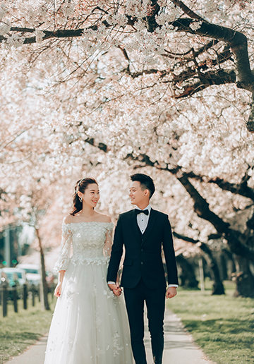 S&D: New Zealand Spring Pre-wedding Photoshoot with Alpacas and Milky Way