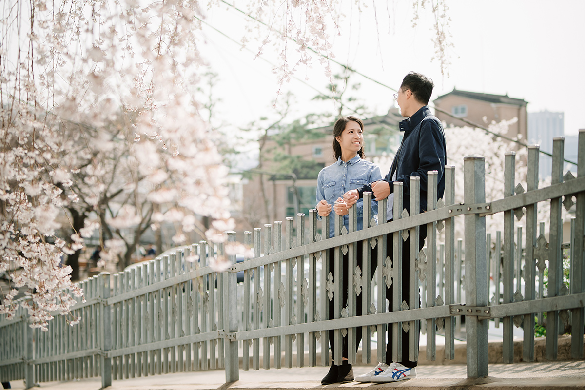City in Bloom: Romantic Pre-Wedding Photoshoot Amidst Seoul's Blossoming Beauty by Jungyeol on OneThreeOneFour 29